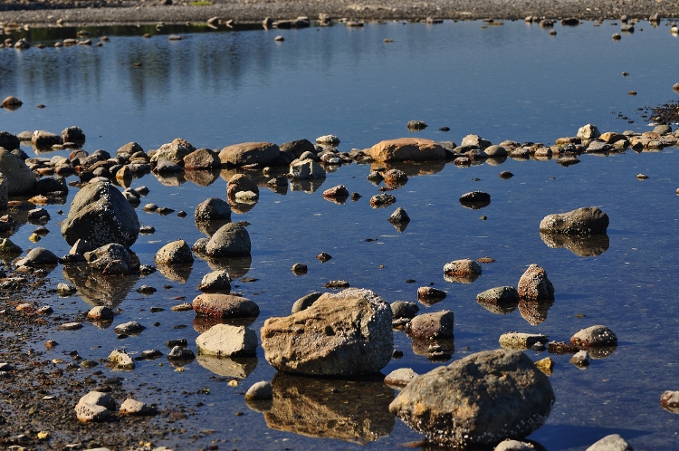 rocks on low tide